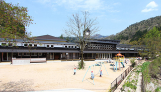y6.jpg